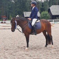  pony for sport
