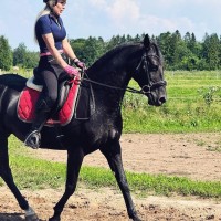 Sportponi Moonlite Melody 