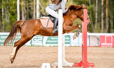 Champion pony