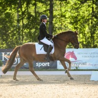 Super iseloomuha Rosetiponi