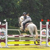 Conemara pony